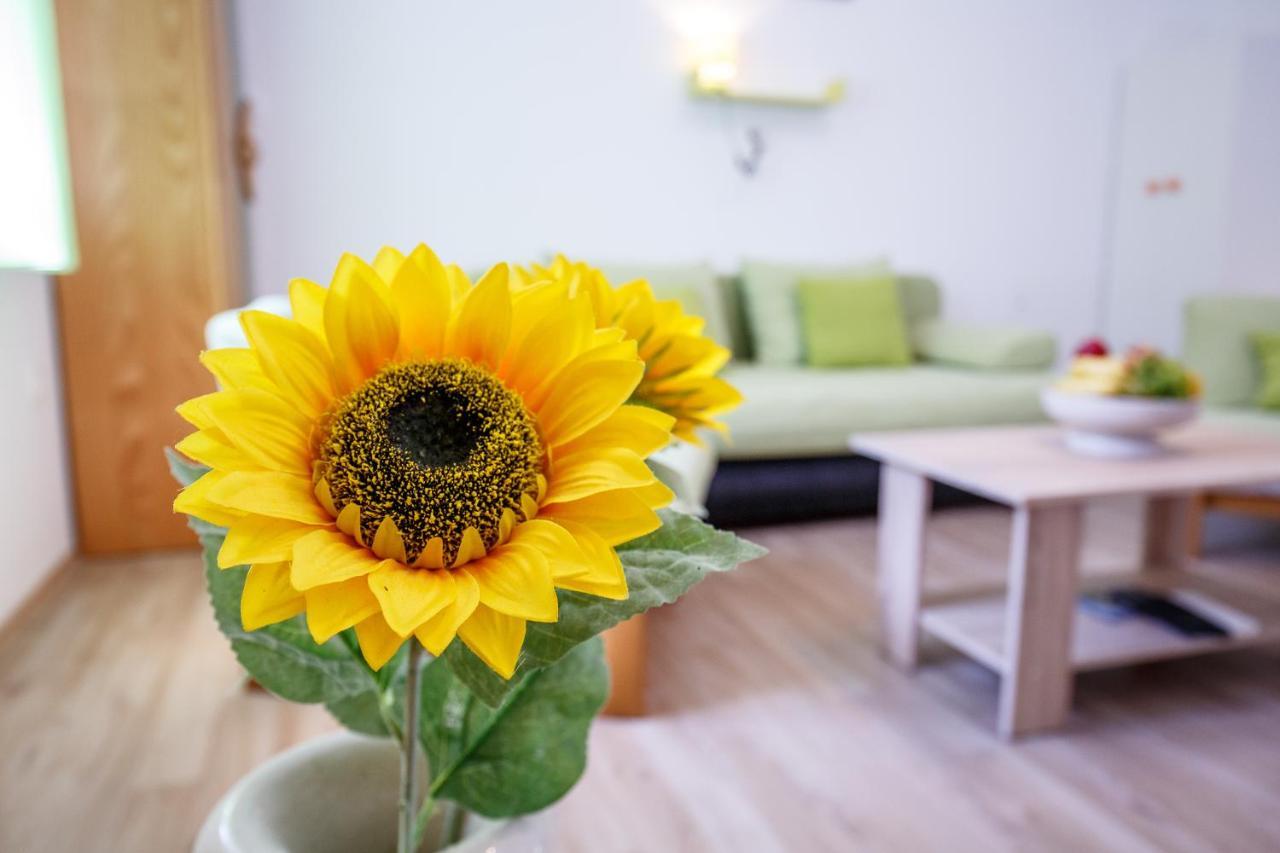 Apartment Green Forest Split Dış mekan fotoğraf
